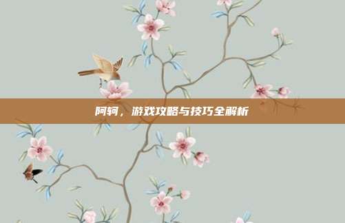 阿轲,游戏攻略与技巧全解析