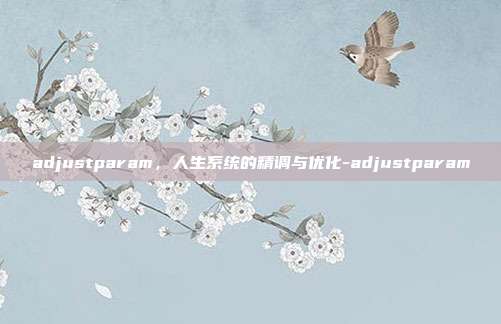 adjustparam,人生系统的精调与优化-adjustparam