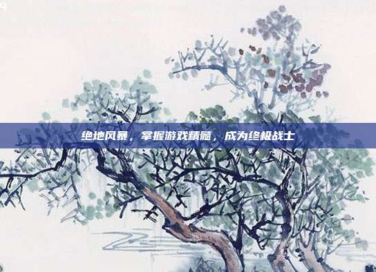 绝地风暴，掌握游戏精髓，成为终极战士