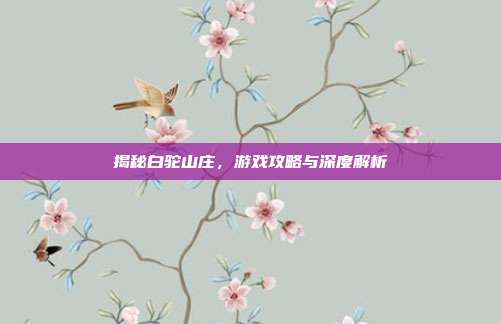 揭秘白驼山庄，游戏攻略与深度解析
