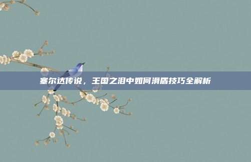 塞尔达传说，王国之泪中如何滑盾技巧全解析
