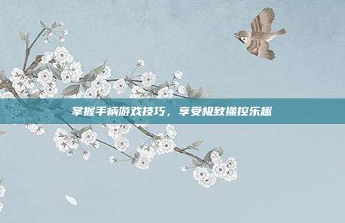 掌握手柄游戏技巧,享受极致操控乐趣