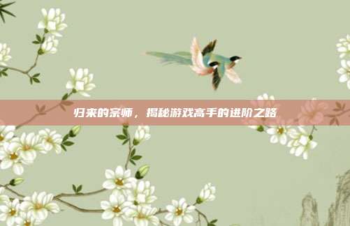 归来的宗师,揭秘游戏高手的进阶之路