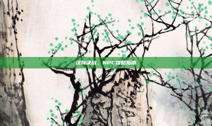 汉匈决战，NPC攻略指南
