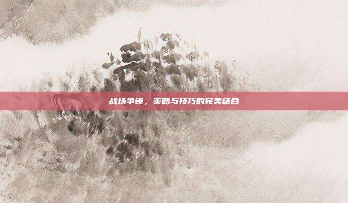 战场争锋,策略与技巧的完美结合