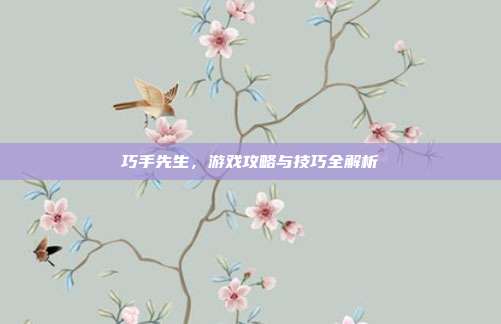 巧手先生，游戏攻略与技巧全解析