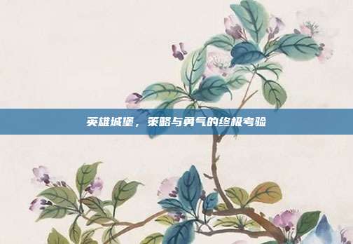 英雄城堡,策略与勇气的终极考验
