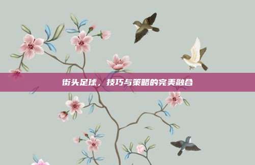 街头足球,技巧与策略的完美融合