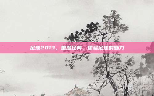 足球2013,重温经典,体验足球的魅力