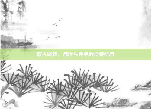 双人游戏,合作与竞争的完美结合
