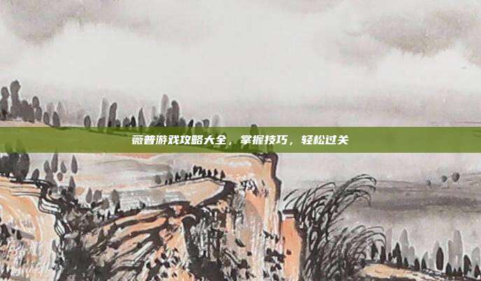 薇普游戏攻略大全,掌握技巧,轻松过关