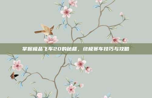 掌握极品飞车20的秘籍，终极赛车技巧与攻略
