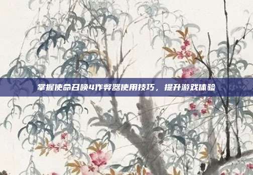 掌握使命召唤4作弊器使用技巧,提升游戏体验