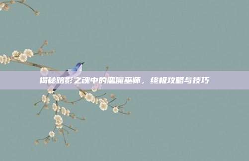 揭秘暗影之魂中的恶魔巫师,终极攻略与技巧