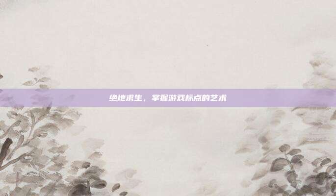 绝地求生,掌握游戏标点的艺术