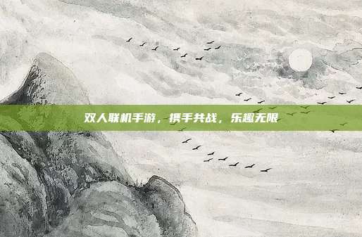 双人联机手游,携手共战,乐趣无限