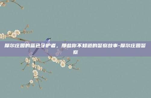 摩尔庄园的蓝色守护者,那些你不知道的警察故事-摩尔庄园警察