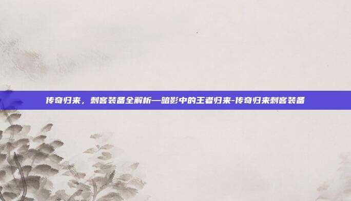 传奇归来，刺客装备全解析—暗影中的王者归来-传奇归来刺客装备