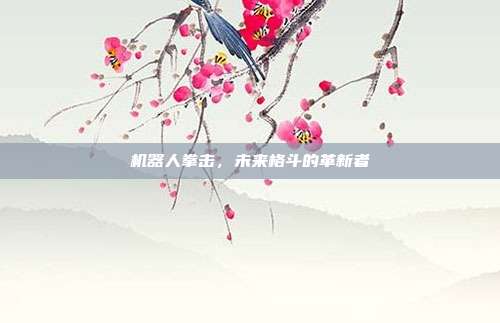 机器人拳击，未来格斗的革新者
