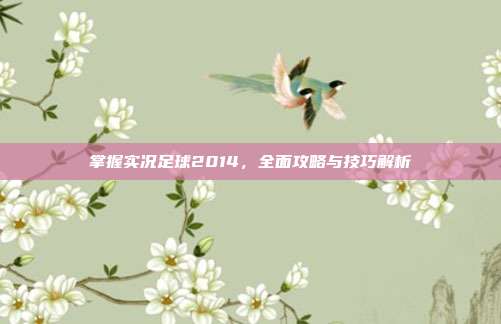 掌握实况足球2014,全面攻略与技巧解析