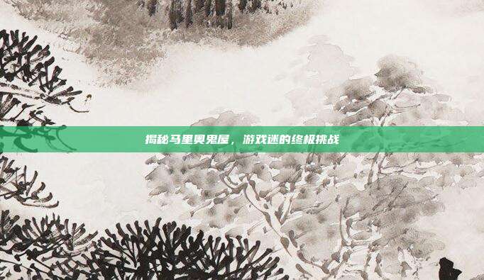 揭秘马里奥鬼屋,游戏迷的终极挑战