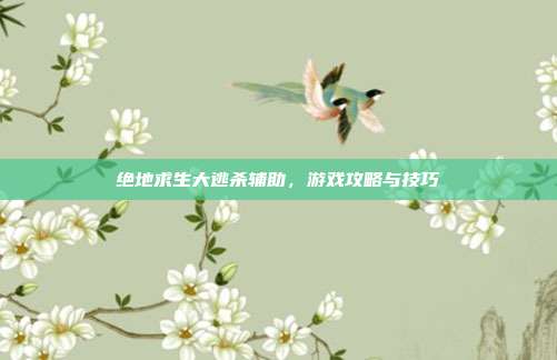 绝地求生大逃杀辅助,游戏攻略与技巧