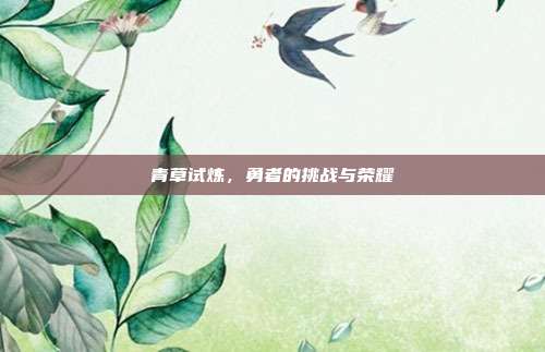 青草试炼，勇者的挑战与荣耀
