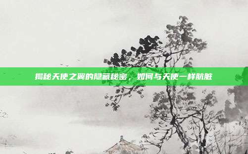 揭秘天使之翼的隐藏秘密,如何与天使一样肮脏