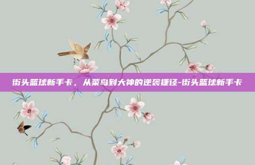 街头篮球新手卡，从菜鸟到大神的逆袭捷径-街头篮球新手卡