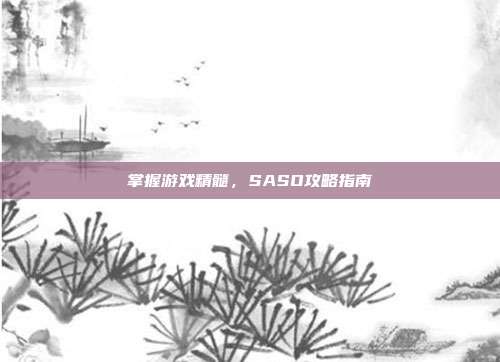 掌握游戏精髓，SASO攻略指南