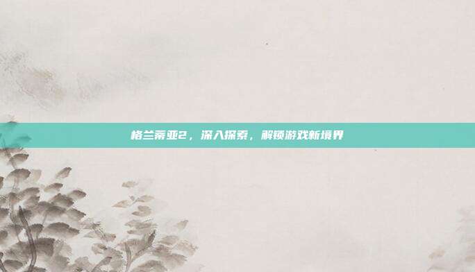 格兰蒂亚2,深入探索,解锁游戏新境界