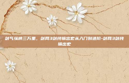 剑气纵横三万里，剑网3剑纯输出宏从入门到进阶-剑网3剑纯输出宏