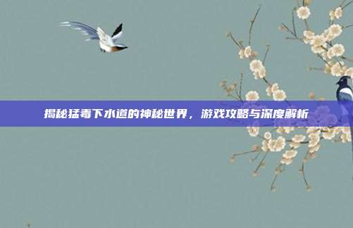 揭秘猛毒下水道的神秘世界,游戏攻略与深度解析