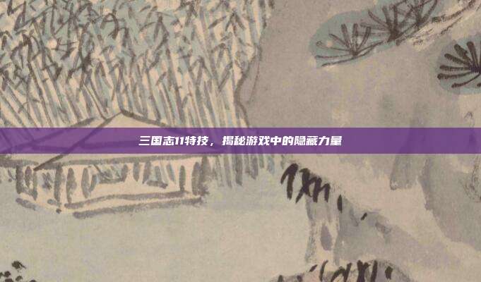 三国志11特技，揭秘游戏中的隐藏力量