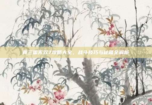 真三国无双7攻略大全，战斗技巧与秘籍全解析