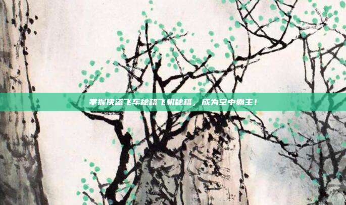 掌握侠盗飞车秘籍飞机秘籍,成为空中霸主!