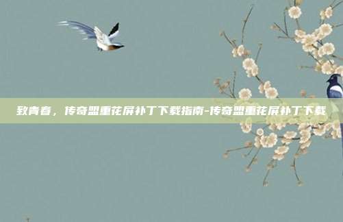 致青春,传奇盟重花屏补丁下载指南-传奇盟重花屏补丁下载