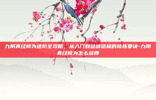 九阴真经修为进阶全攻略,从入门到登峰造极的修炼要诀-九阴真经修为怎么获得