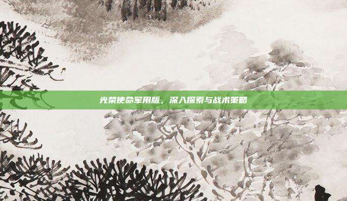 光荣使命军用版,深入探索与战术策略