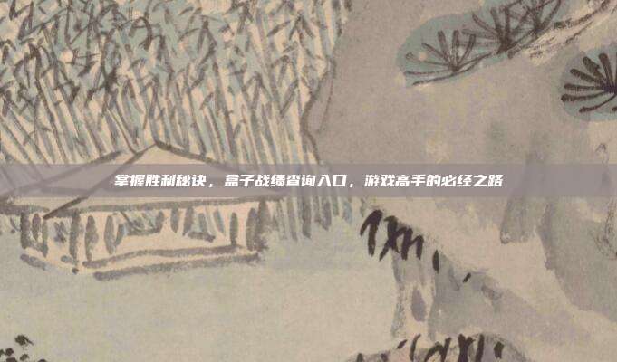 掌握胜利秘诀，盒子战绩查询入口，游戏高手的必经之路