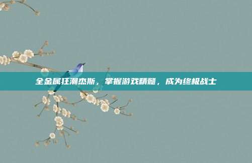 全金属狂潮杰斯,掌握游戏精髓,成为终极战士