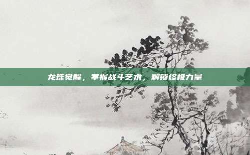 龙珠觉醒,掌握战斗艺术,解锁终极力量