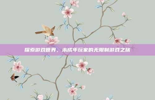 探索游戏世界,未成年玩家的无限制游戏之旅