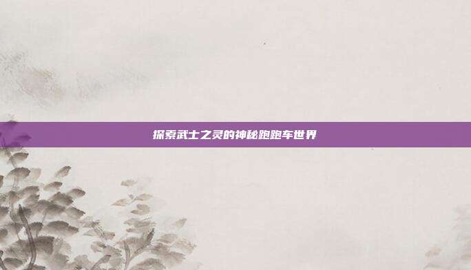 探索武士之灵的神秘跑跑车世界