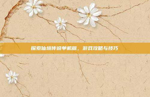 探索仙境传说单机版,游戏攻略与技巧