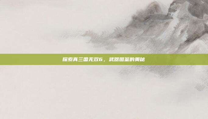 探索真三国无双6，武器图鉴的奥秘