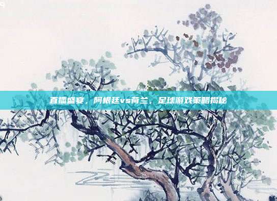直播盛宴,阿根廷vs荷兰,足球游戏策略揭秘
