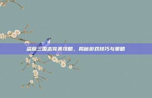 盗版三国志完美攻略,揭秘游戏技巧与策略