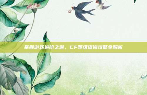 掌握游戏进阶之道,CF等级查询攻略全解析