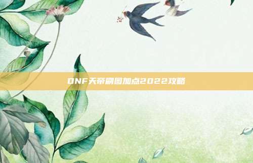 DNF天帝刷图加点2022攻略